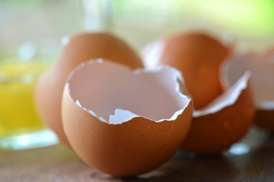 egg-shells-400x265